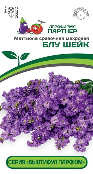 3319P Маттиола срезочная махровая "Бьютифул Парфюм" БЛУ ШЕЙК 10 шт