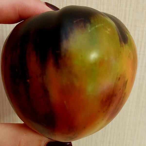 7006T Томат Блаженство 10 шт