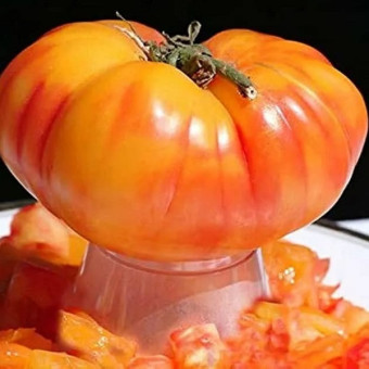 7106TТомат  Восторг Арканзаса 10 шт