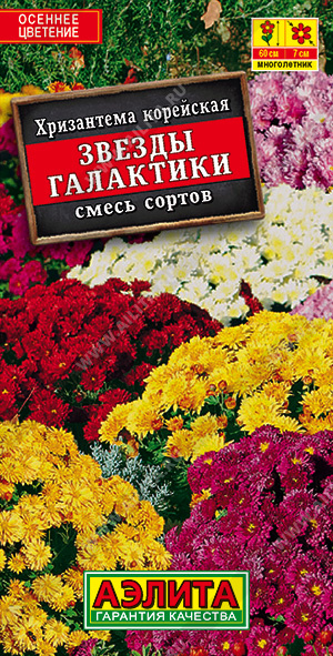 1852A Хризантема Звезды галактики, смесь окрасок 0,02гр