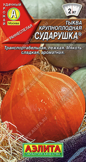 1049A Тыква крупноплодная Сударушка 1 г