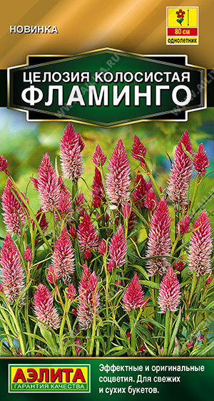 1863A Целозия колосистая Фламинго 0,1гр 1863A Целозия колосистая Фламинго 0,1гр