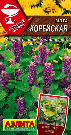 0638A Мята Корейская 0,05гр 0638A Мята Корейская 0,05гр
