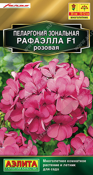 1673 Пеларгония Рафаэлла F1 розовая 5 шт