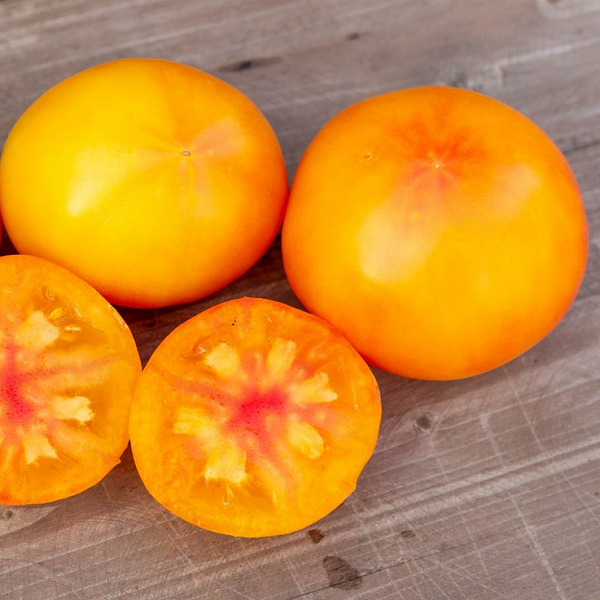 7010T Томат Вариегатный Дракон 10шт 7010T Томат Вариегатный Дракон 10шт