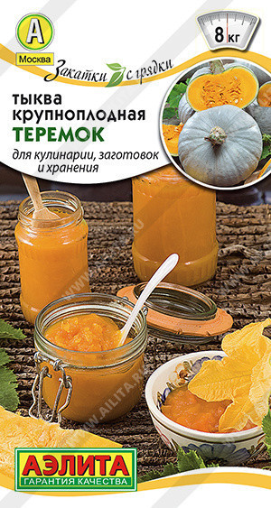 1050A Тыква крупноплодная Теремок 2 г