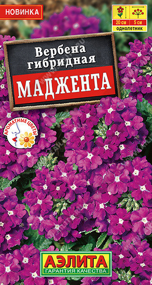 1350A Вербена Маджента 10 шт