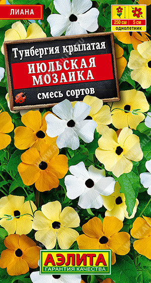 1850A Тунбергия Июльская мозаика, смесь сортов 0,3 г