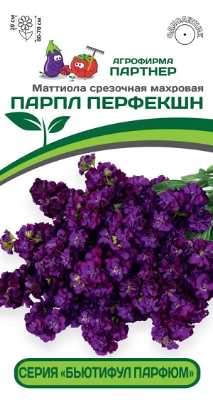3321P Маттиола срезочная махровая "Бьютифул Парфюм" ПАРПЛ ПЕРФЕКШН 10 шт