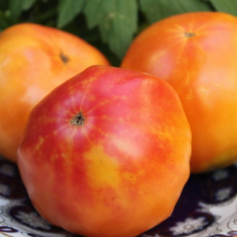 7108T Томат ГНОМ Фероковкай 10 шт