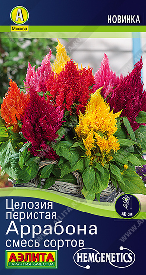 1864A Целозия перистая Аррабона, смесь сортов 7шт 1864A Целозия перистая Аррабона, смесь сортов 7шт