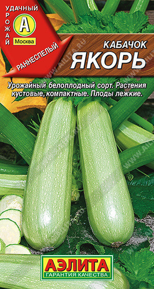 0436A Кабачок белоплодный Якорь 2гр 0436A Кабачок белоплодный Якорь 2гр