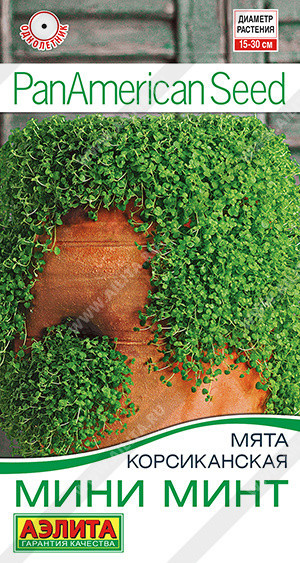 0639A Мята корсиканская Мини минт 3шт