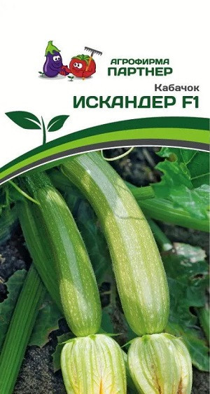 3022P Кабачок ИСКАНДЕР F1 5 шт