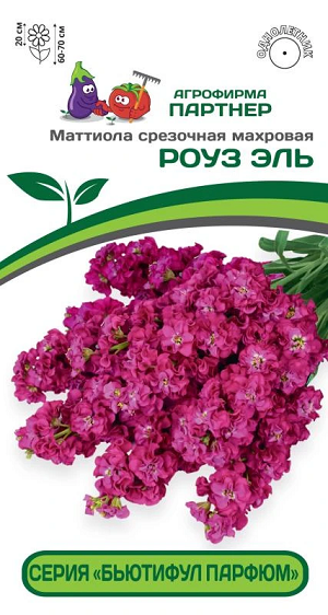 3322P Маттиола срезочная махровая "Бьютифул Парфюм" РОУЗ ЭЛЬ 10 шт