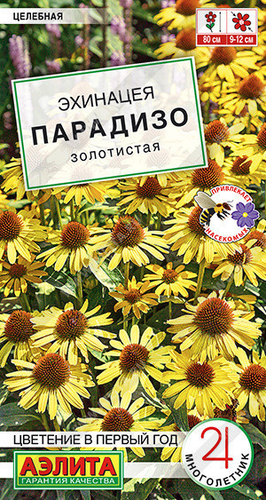 1965A Эхинацея Парадизо золотистая 5шт 1965A Эхинацея Парадизо золотистая 5шт